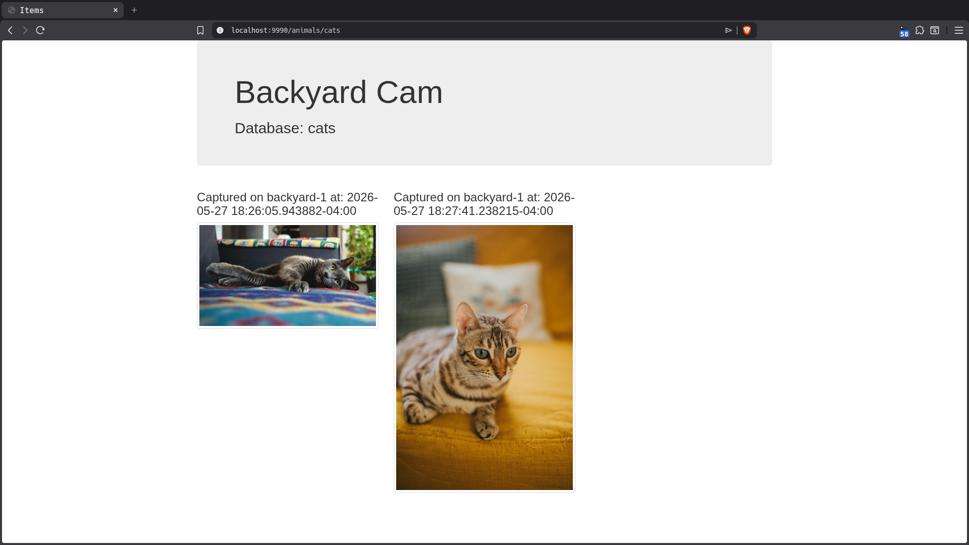 cat dashboard