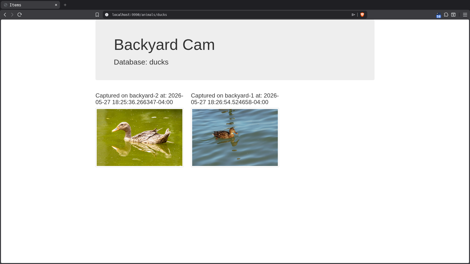 duck dashboard
